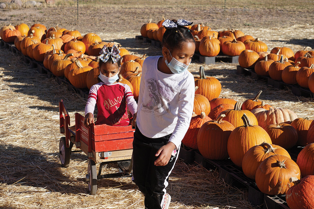 Pumpkin Shopping